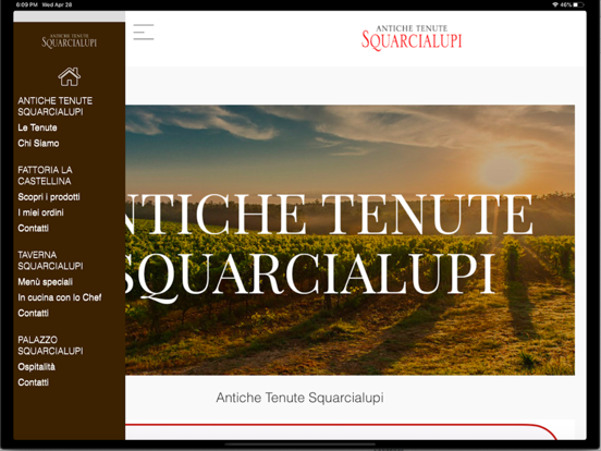 Screenshot #4 pour Squarcialupi
