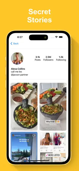 Game screenshot Profile Viewer by Raven apk