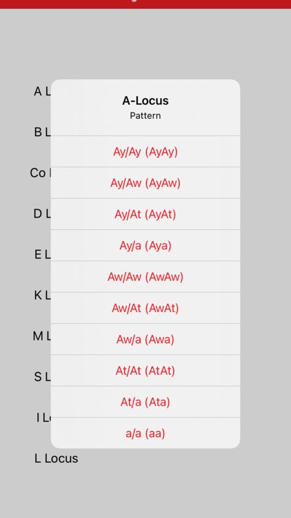 Find My American Bully screenshot-3