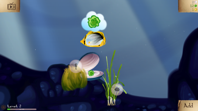 Coral Reef Ocean Screenshot