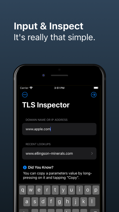 TLS Inspector Screenshot
