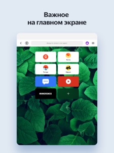 Yandex Browser for iPad screenshot #1 for iPad