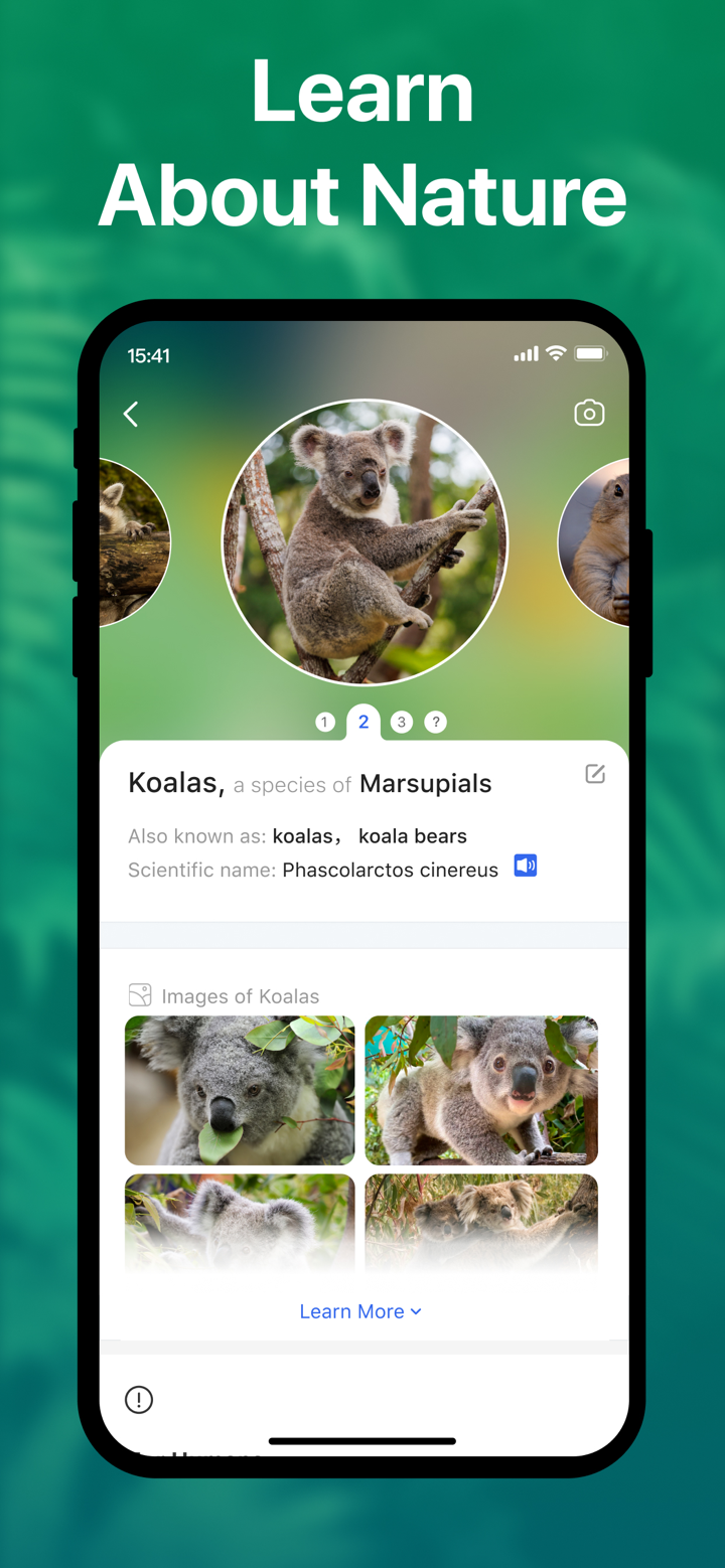 Picture Nature: Animal ID screenshot 3