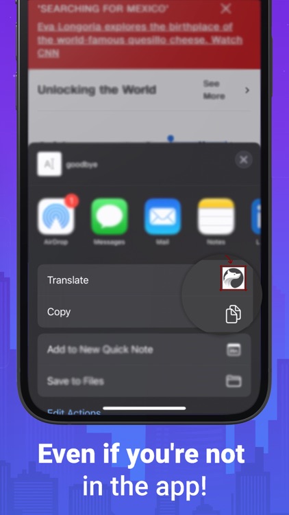 Wolfling: Flashcards & Vocab screenshot-7