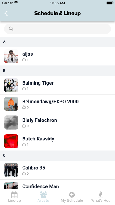 OFF Festival Katowice Screenshot