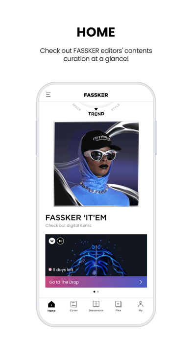The FASSKER Screenshot