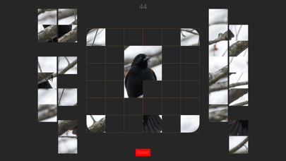 Photo Puzzle Snapのおすすめ画像1