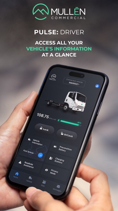 Mullen Commercial Pulse Driver Screenshot