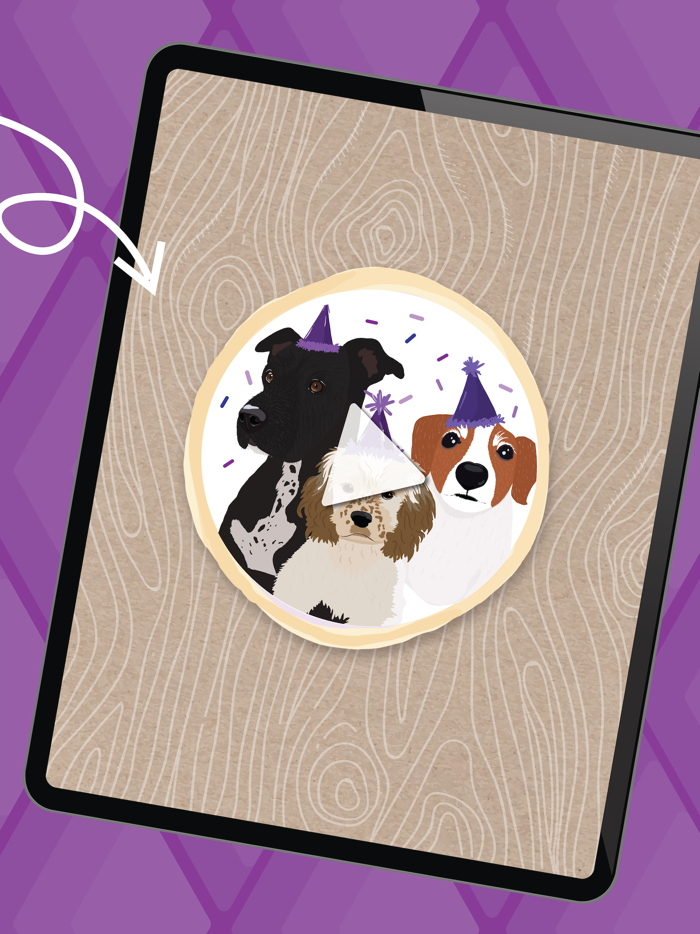 Argyle Converge Experience