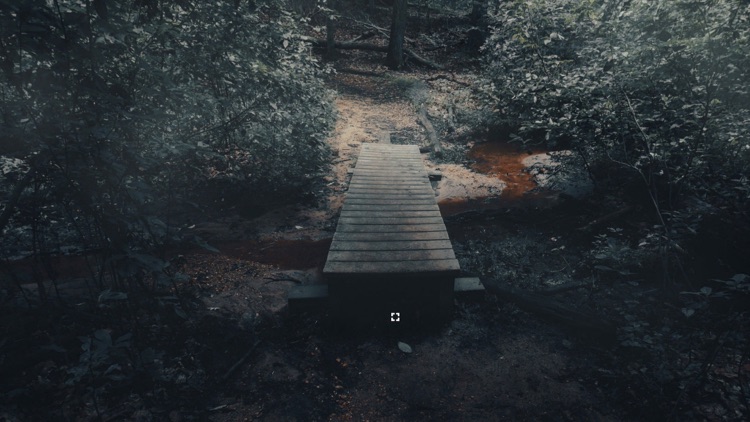 The Holyburn Witches