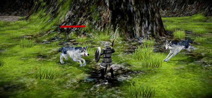 Dark Land Immortal Knight