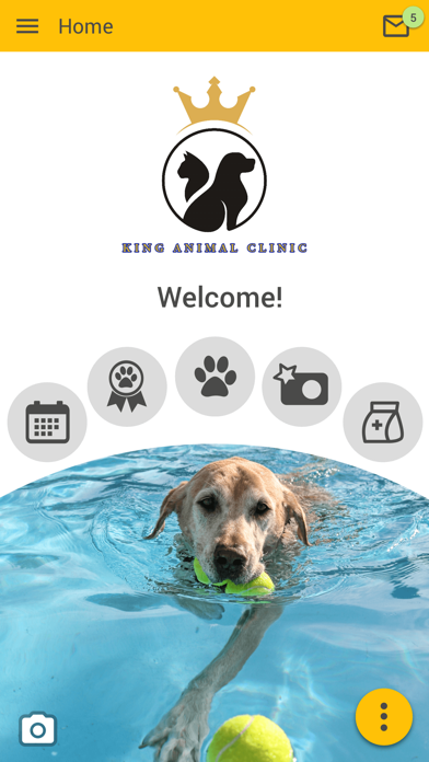King Animal Clinic Screenshot