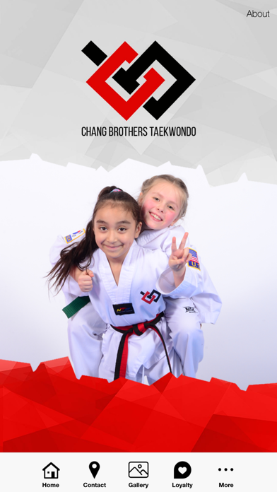 Chang Brothers Taekwondo Screenshot
