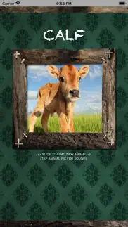 farm animals name and sound problems & solutions and troubleshooting guide - 1