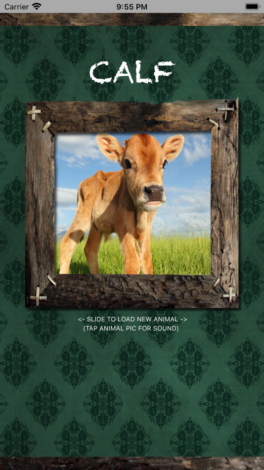 #1. Farm Animals Name and Sound (iOS) Podle: Purr Apps