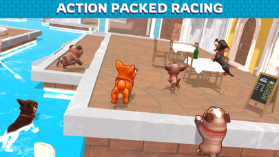 Dog Game Screenshot
