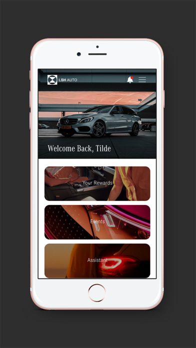 LSH LUXE Screenshot