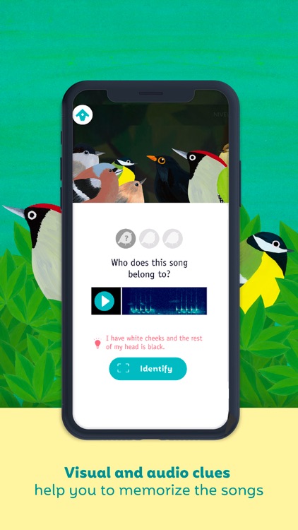 Birdie Memory screenshot-4