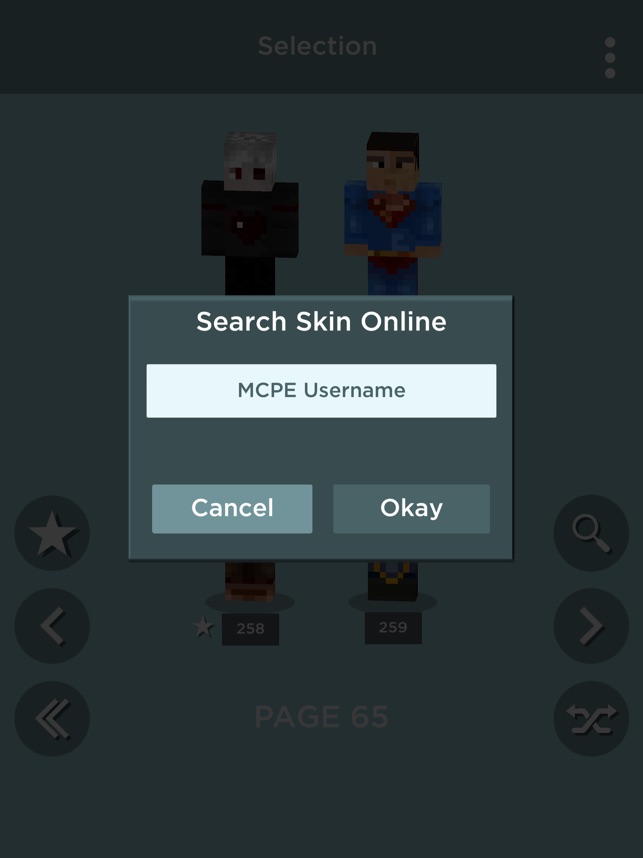 3D Skin Editor for MCPE by Riken Sonani