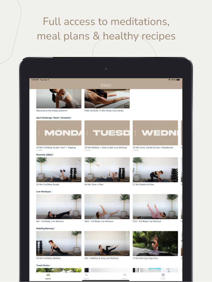 shaep by Kelsey Rose