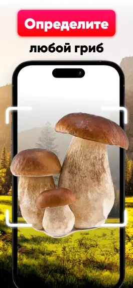 Game screenshot Mushroom ID - Identification mod apk