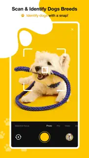 dog scanner - dog breed id iphone screenshot 4