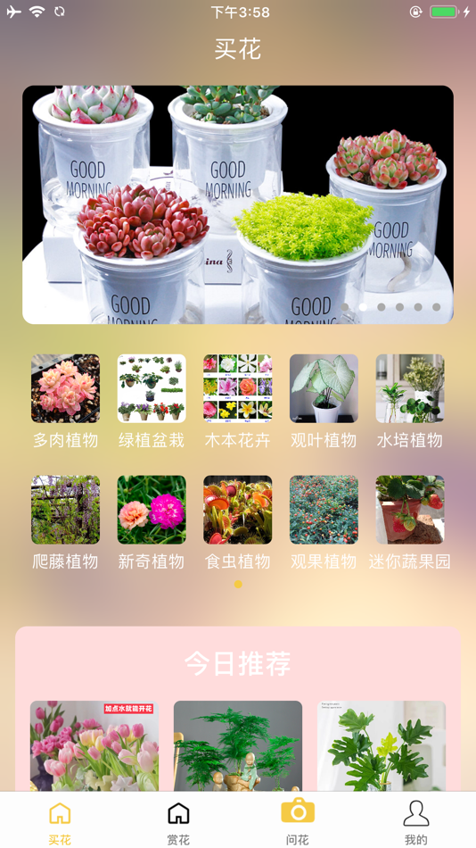 #1. 花间舞-花卉园集 (iOS) 来自: 俞 周