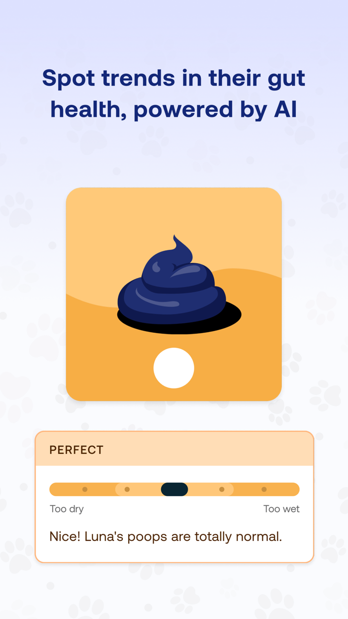 Tapp – Dog Health Tracking