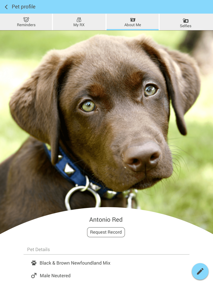 Willis Animal Hospital