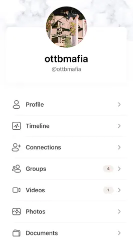 Game screenshot OTTB Mafia mod apk