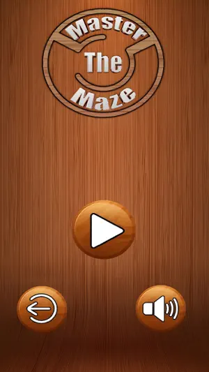 Master The Maze screenshot 4