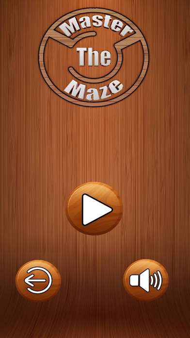 Master The Maze Screenshot