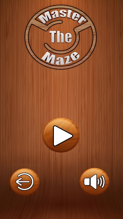 Master The Maze screenshot-3