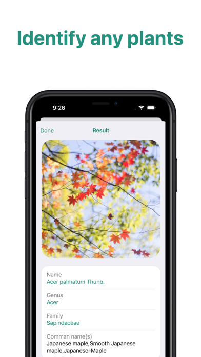 PlantID - Plant Identifier App Screenshot