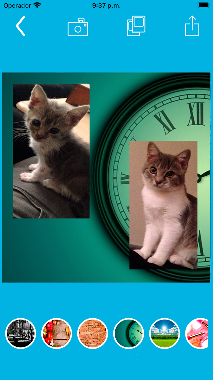 Before and after collage