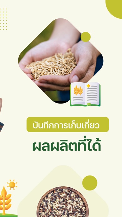 Rice Here Screenshot