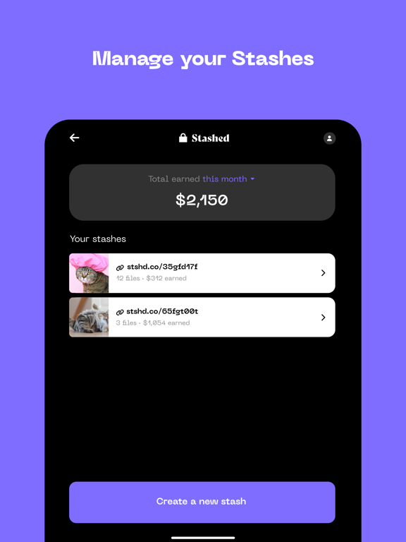 Stashed - Sell Private Files iPad screenshot 5 - Business app