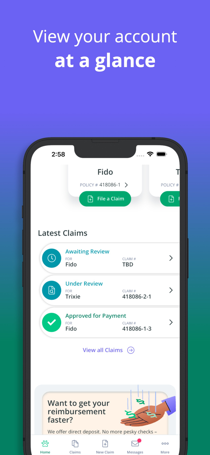 Healthy Paws Pet Insurance App