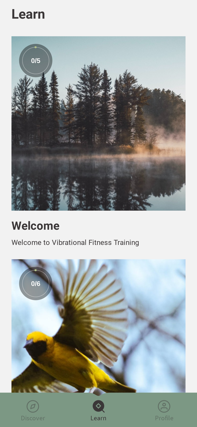 Vibrational Fitness Training