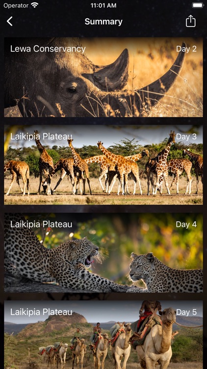 Pelorus screenshot-3