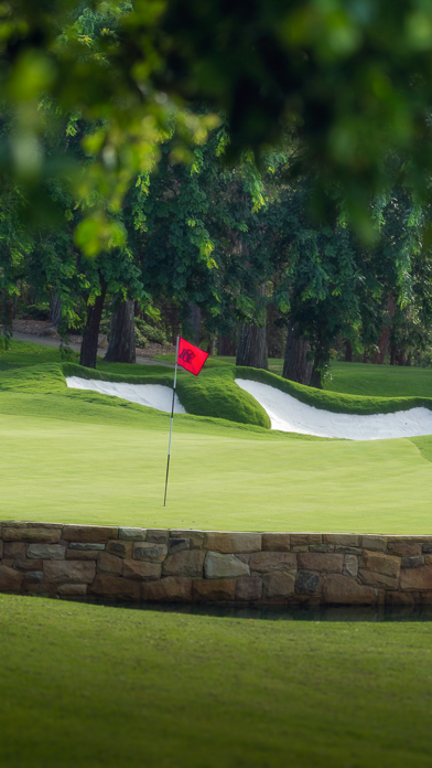 Pymble Golf Club Screenshot