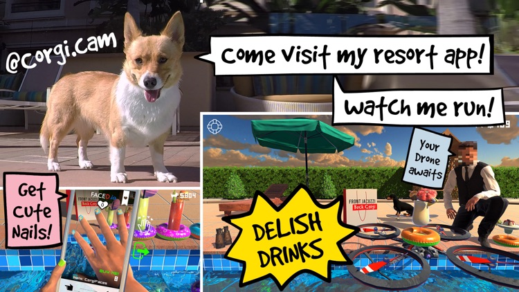 #FJBC Front Jolly Back CORGI