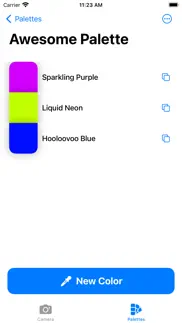 palettemaster iphone screenshot 3