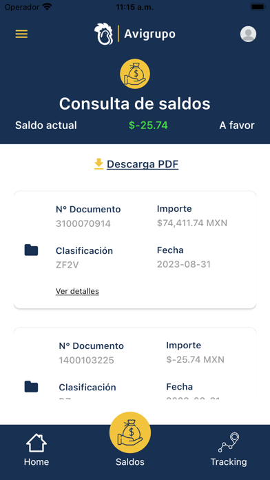 Avigrupo México Screenshot