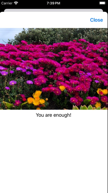 iProgramMe screenshot-5