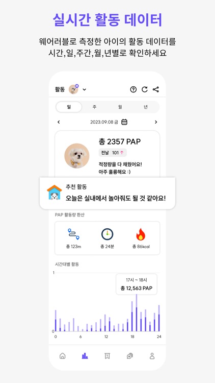 퍼피플레이 (PuppyPlay)