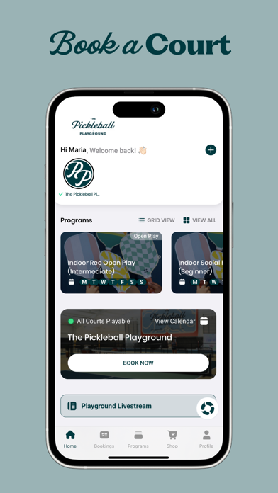 Pickleball Playground Screenshot