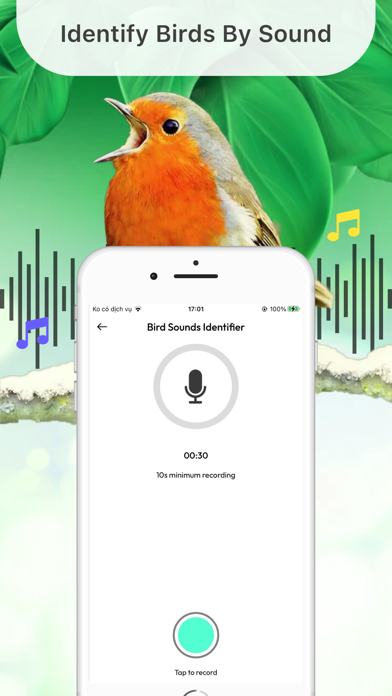 Bird Identifier By Sound ID Screenshot