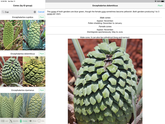 Screenshot #5 pour SA Cycads