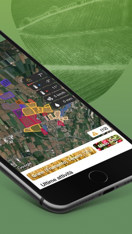 Cereal Docks - Sistema Green